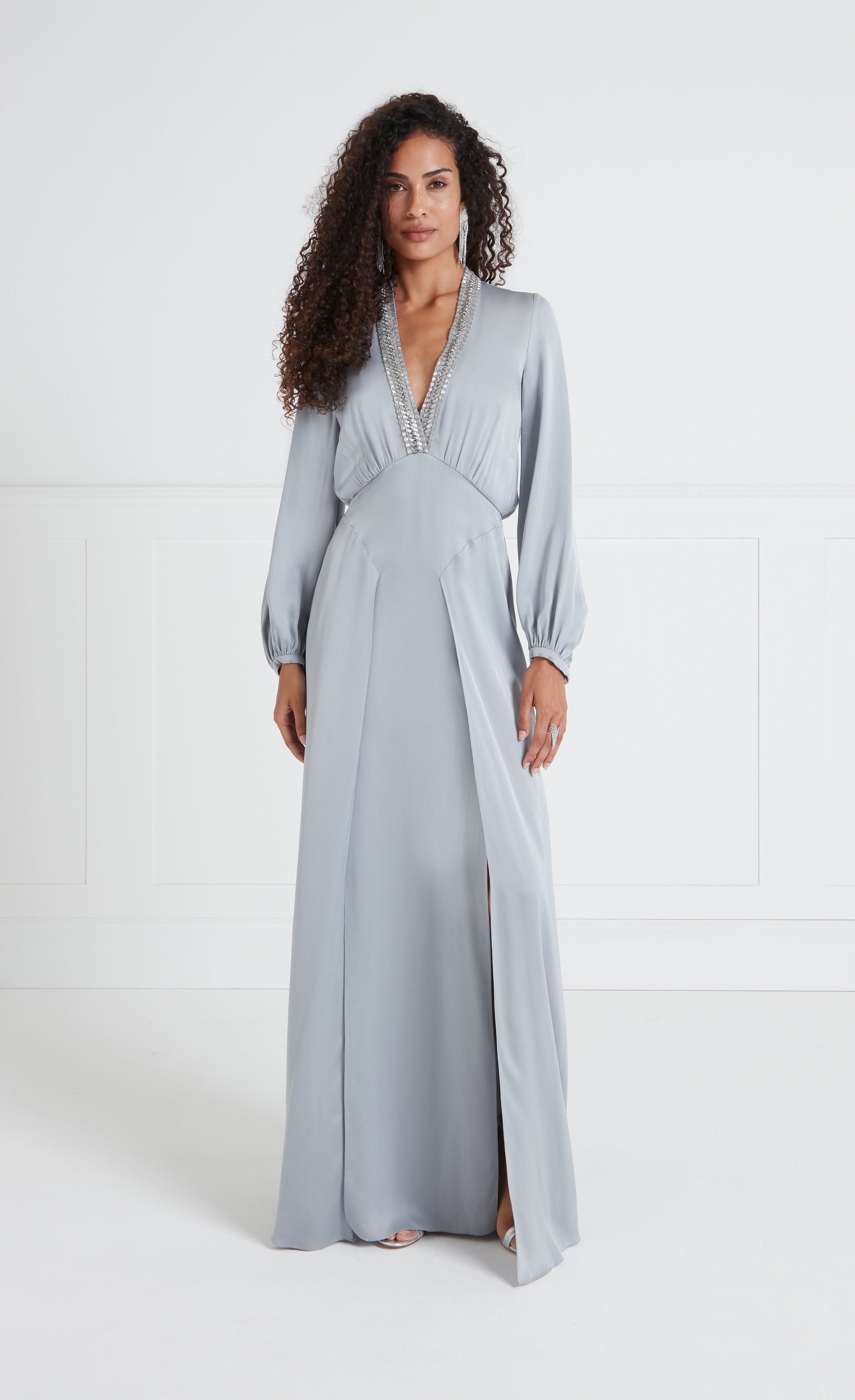 Nina Sleeved Gown - Silver