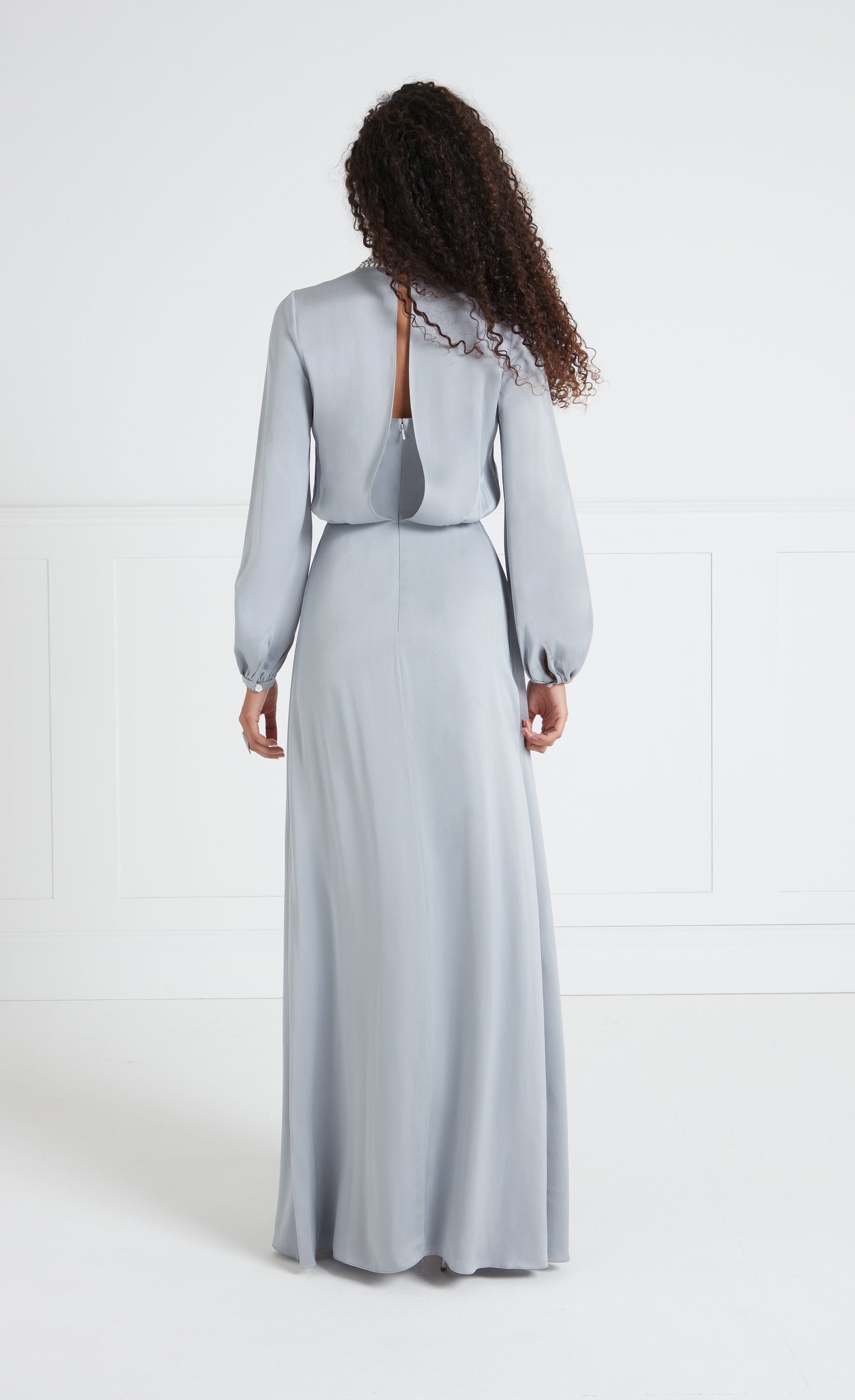 Nina Sleeved Gown - Silver