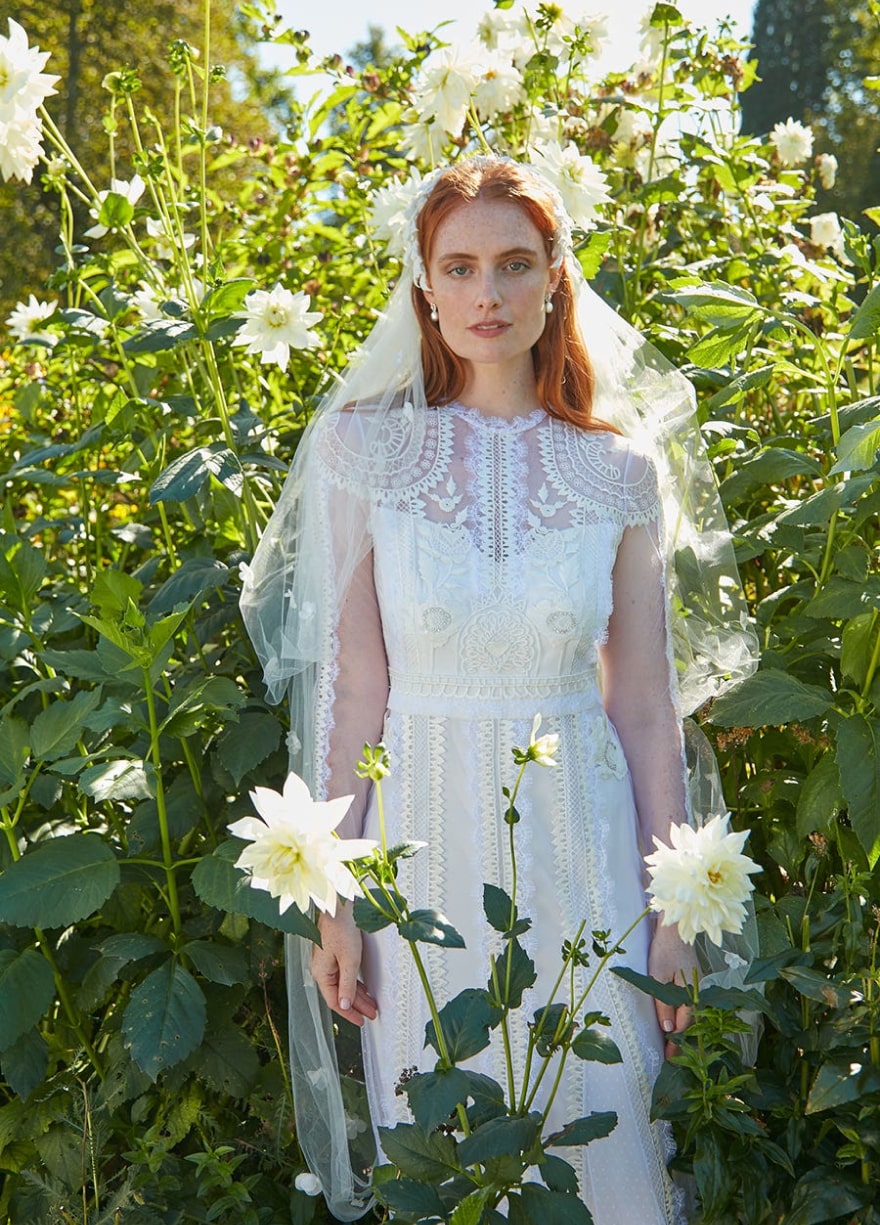 temperley london green lace dress Celestial Dress - Absinthe | Dresses & Jumpsuits